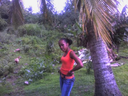 estel